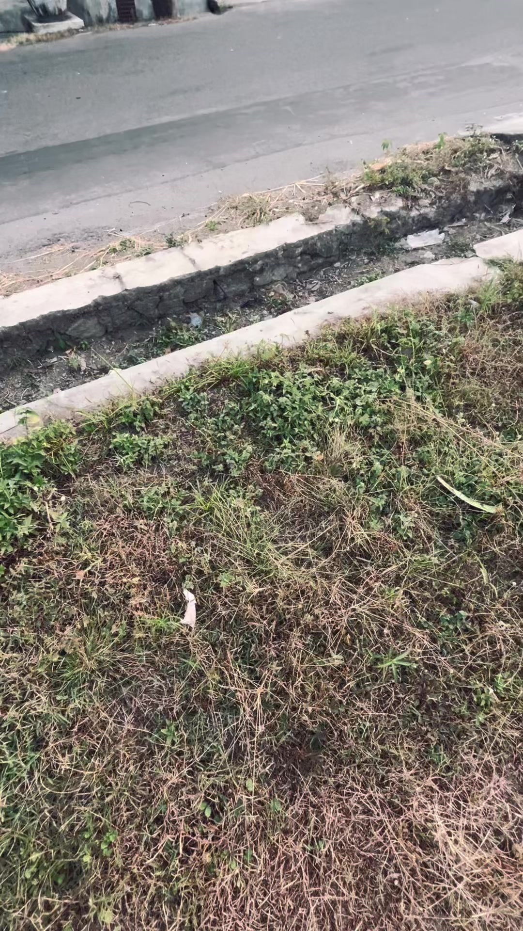 @𝘾 𝘼 𝙉 𝘿 𝙍 𝘼