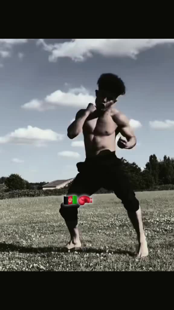 @afghan_lion78
