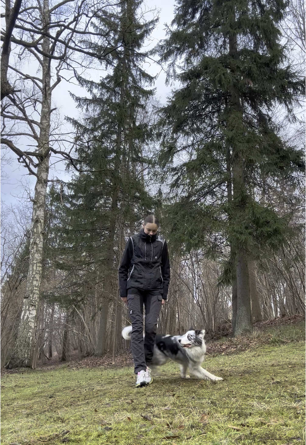 @elisathebordercollie