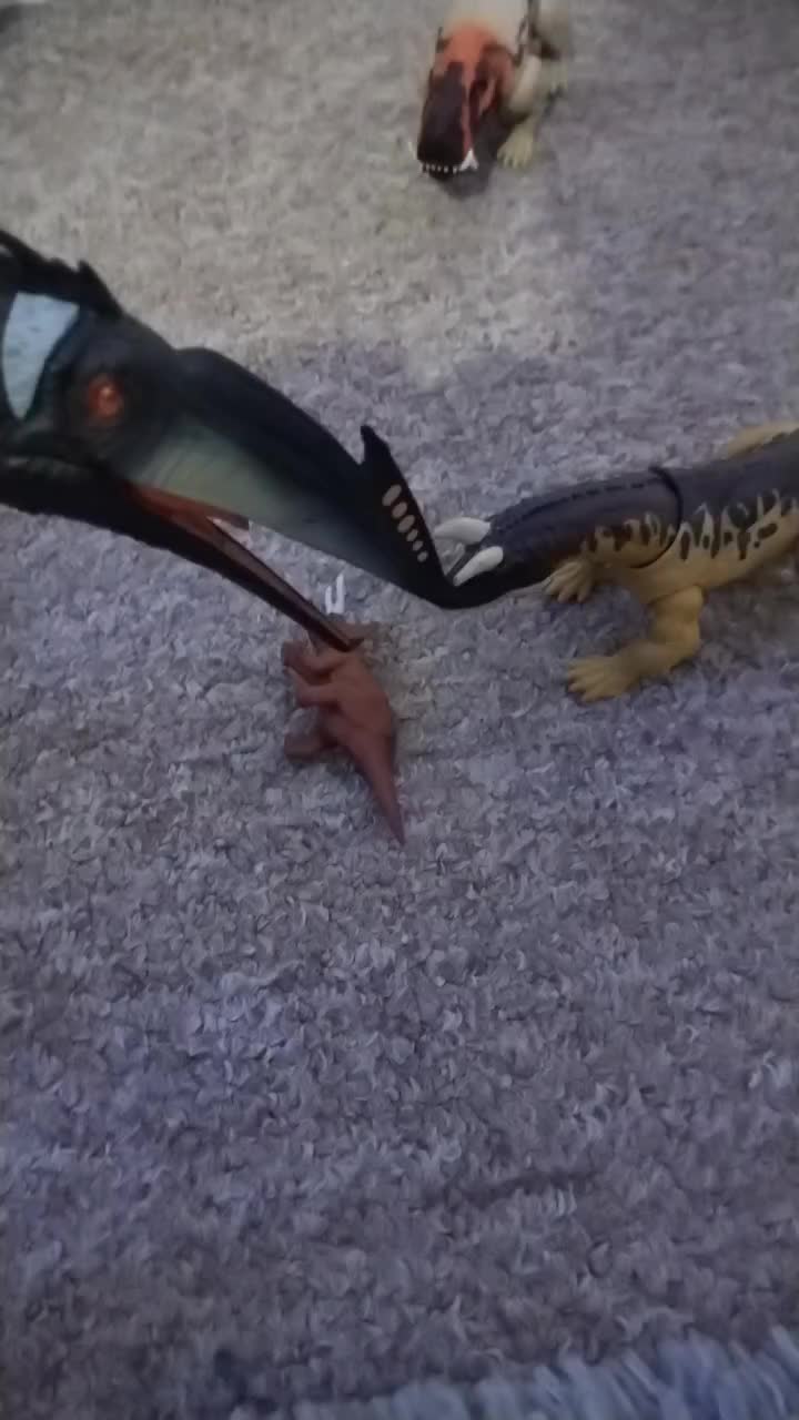 @🦖🐢Peanut_282🐊🦜