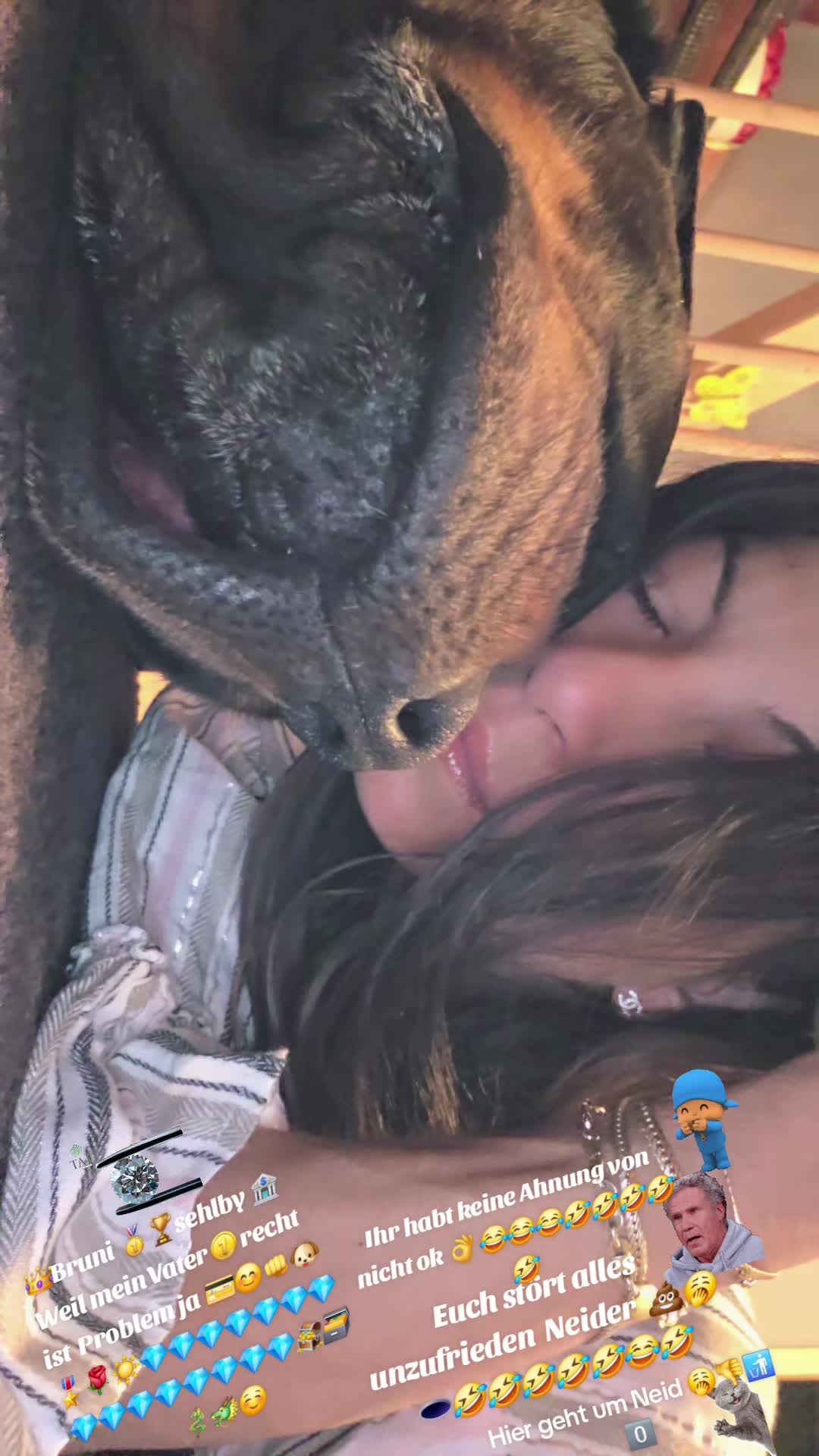 @Rottweiler Bruno
