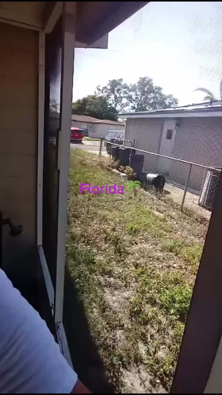 @Michelle