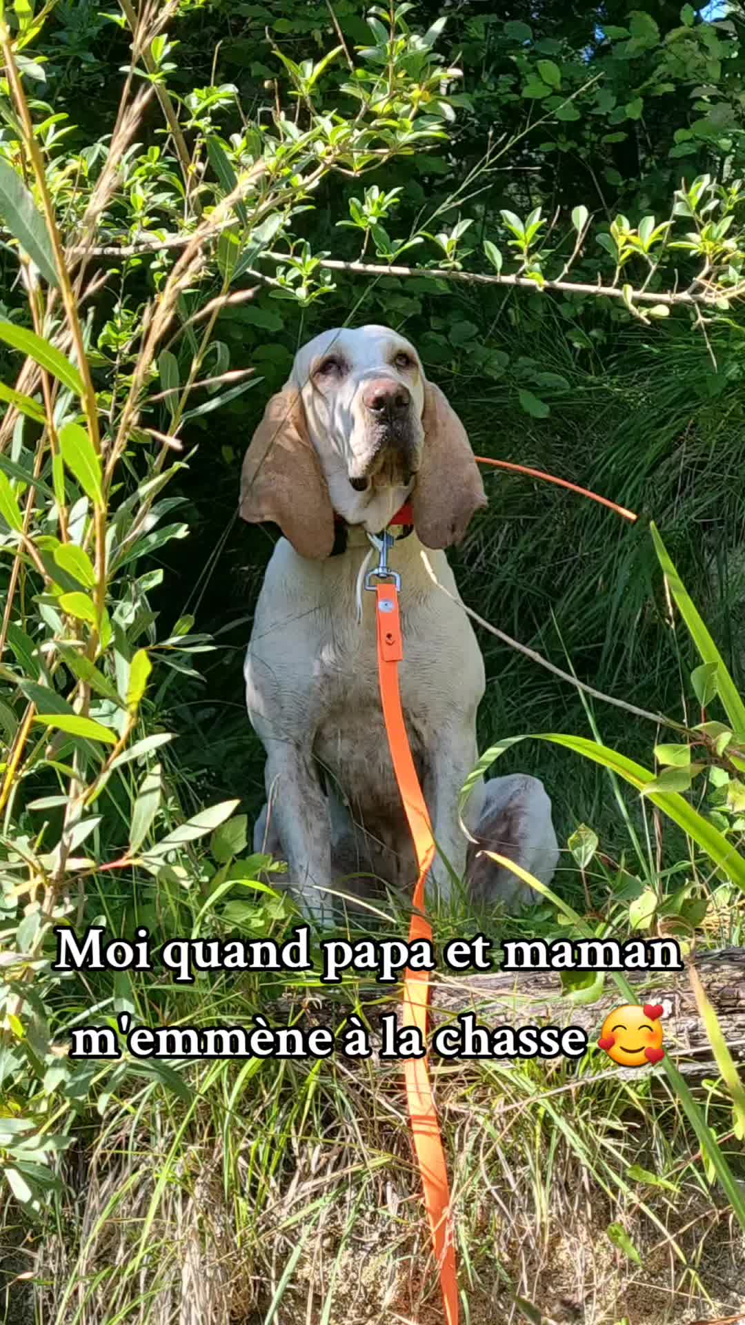 @Morgane