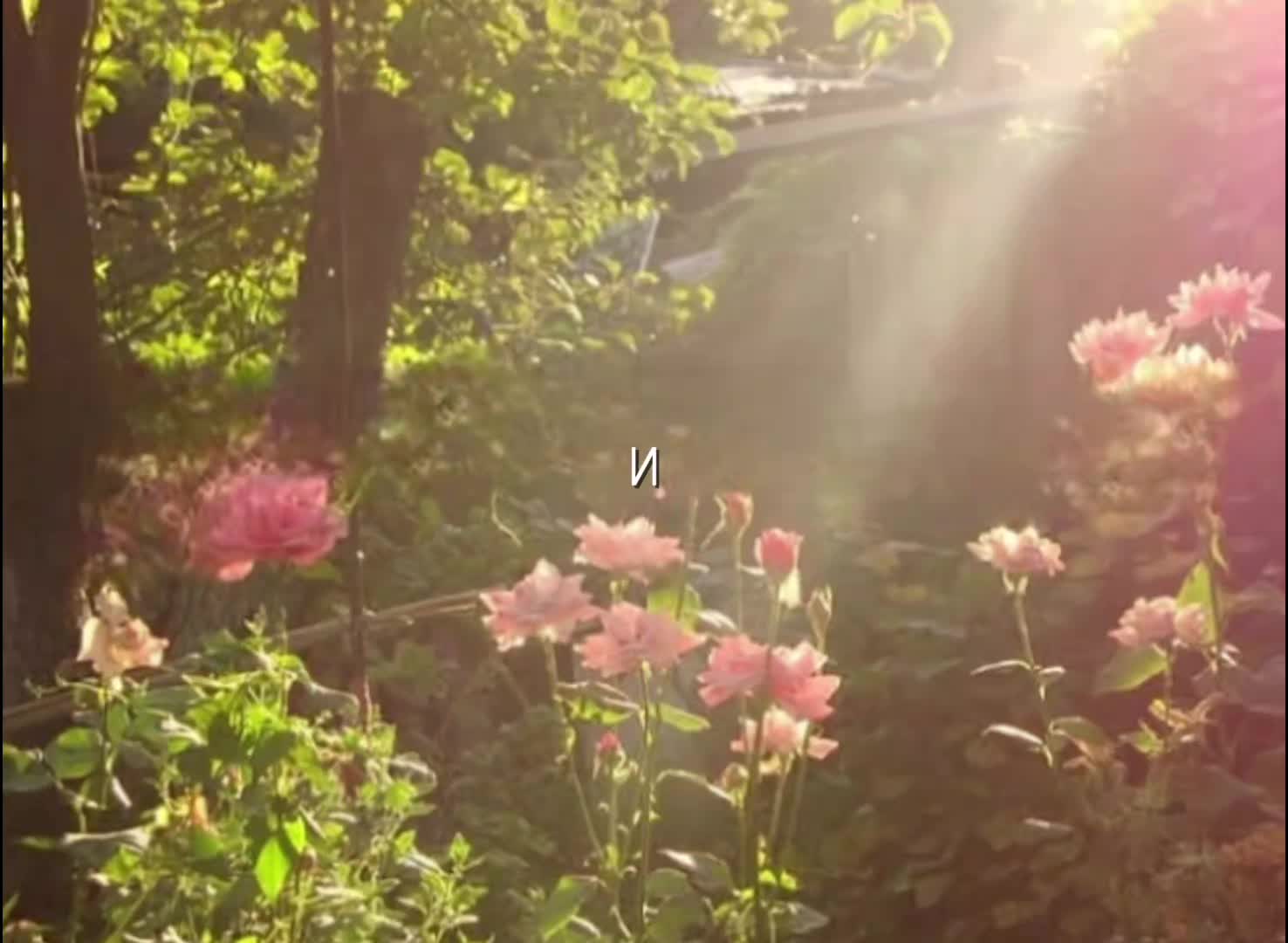 @โ๐ง๐๐ฆ๐ค๐๐๐๐๐ ๐๐๐๐งโ