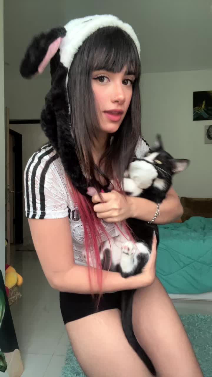 @sorayzoo