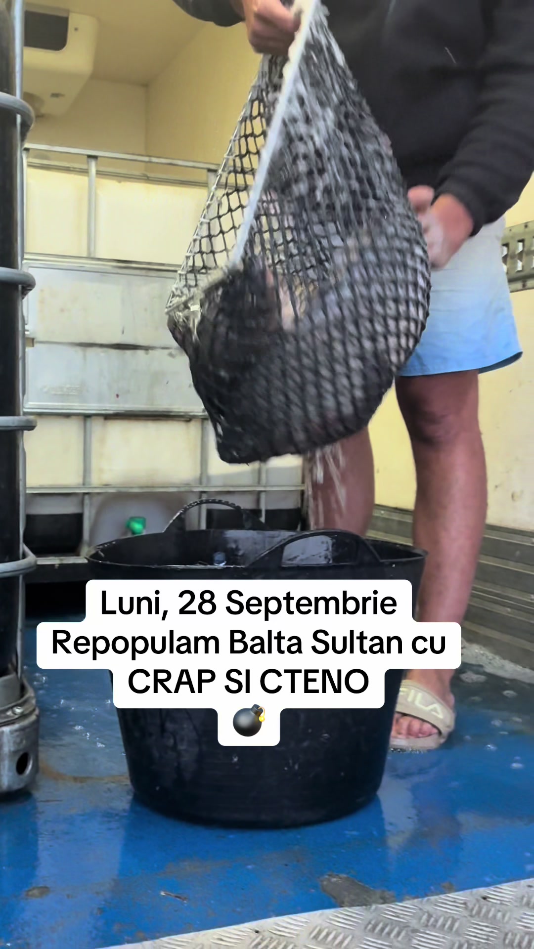 @Balta Sultan -Calarasi