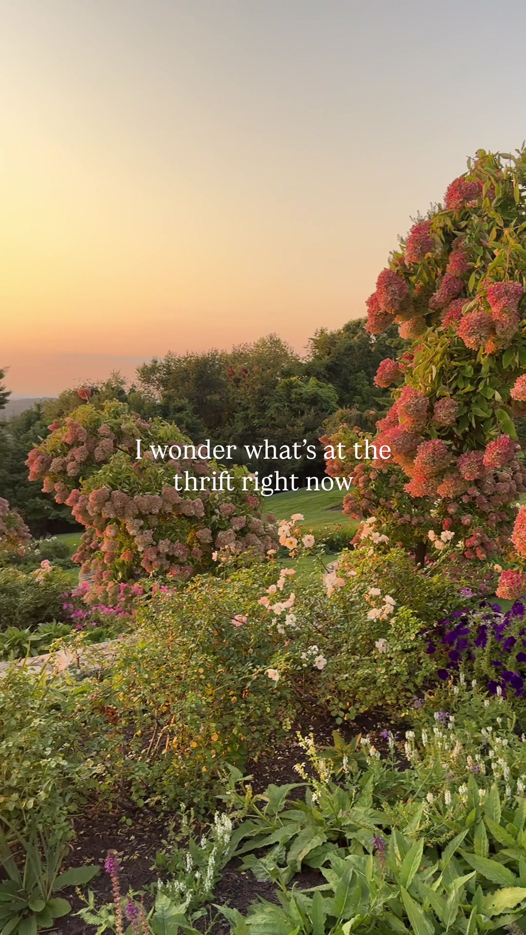 @Meredith | Interior Designer