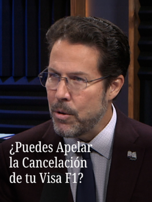 @N+ UNIVISION