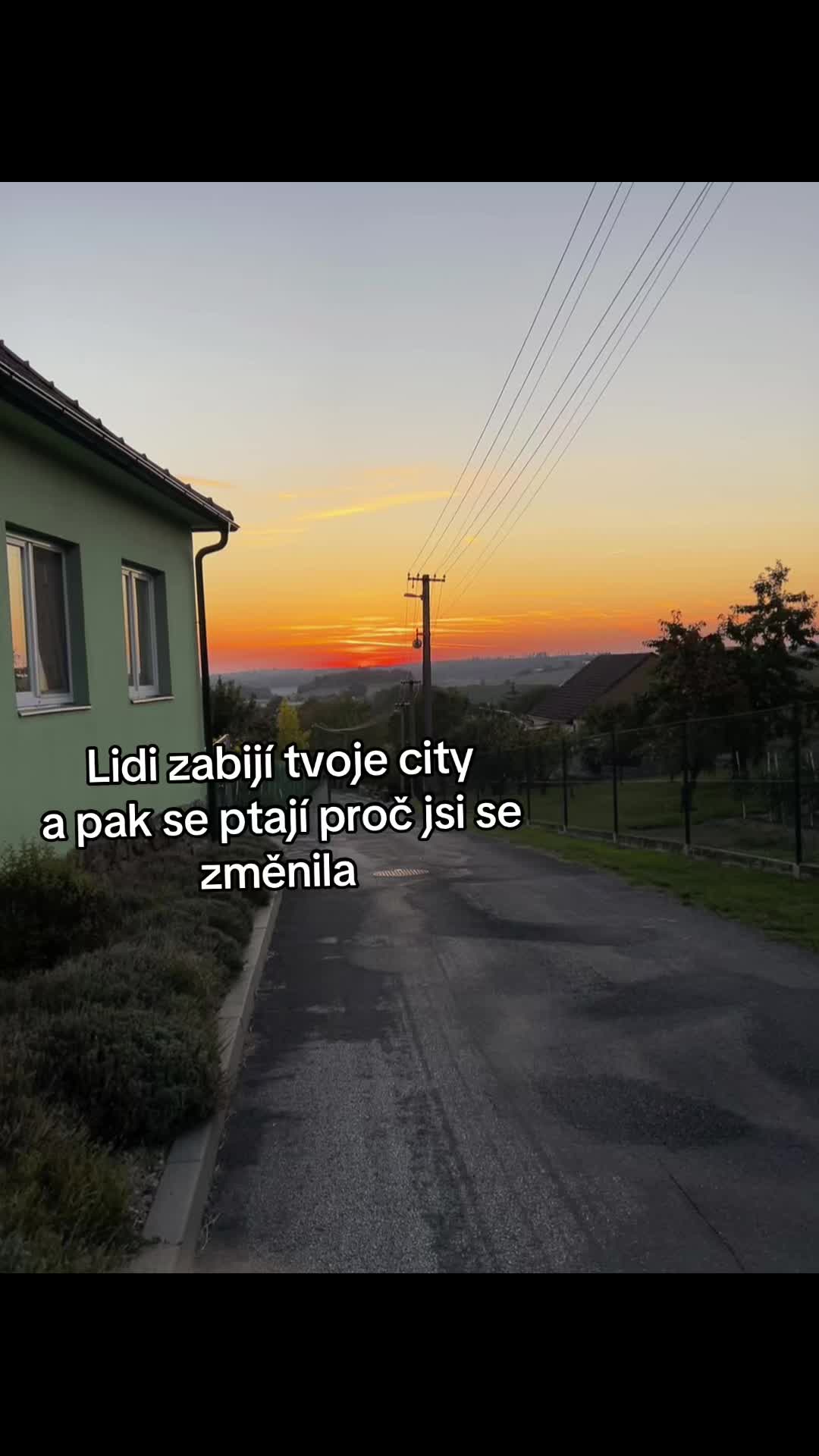 @Šest_kokotu