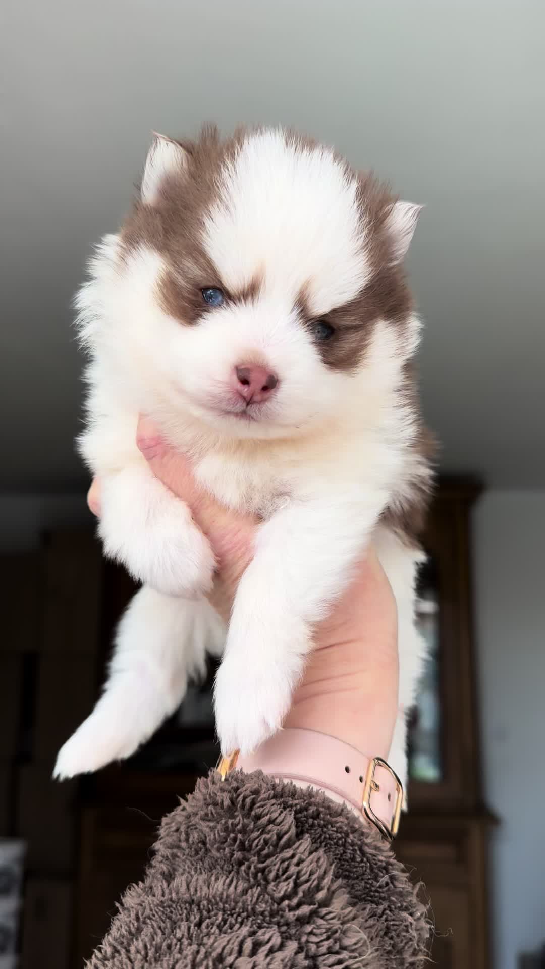 @MCO & POMSKY