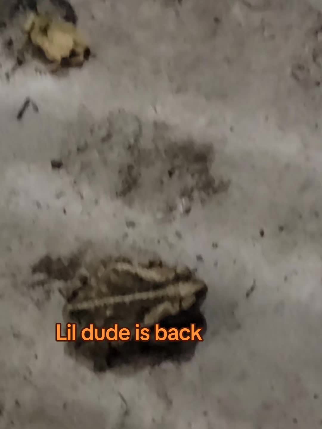 @South Texas Fail