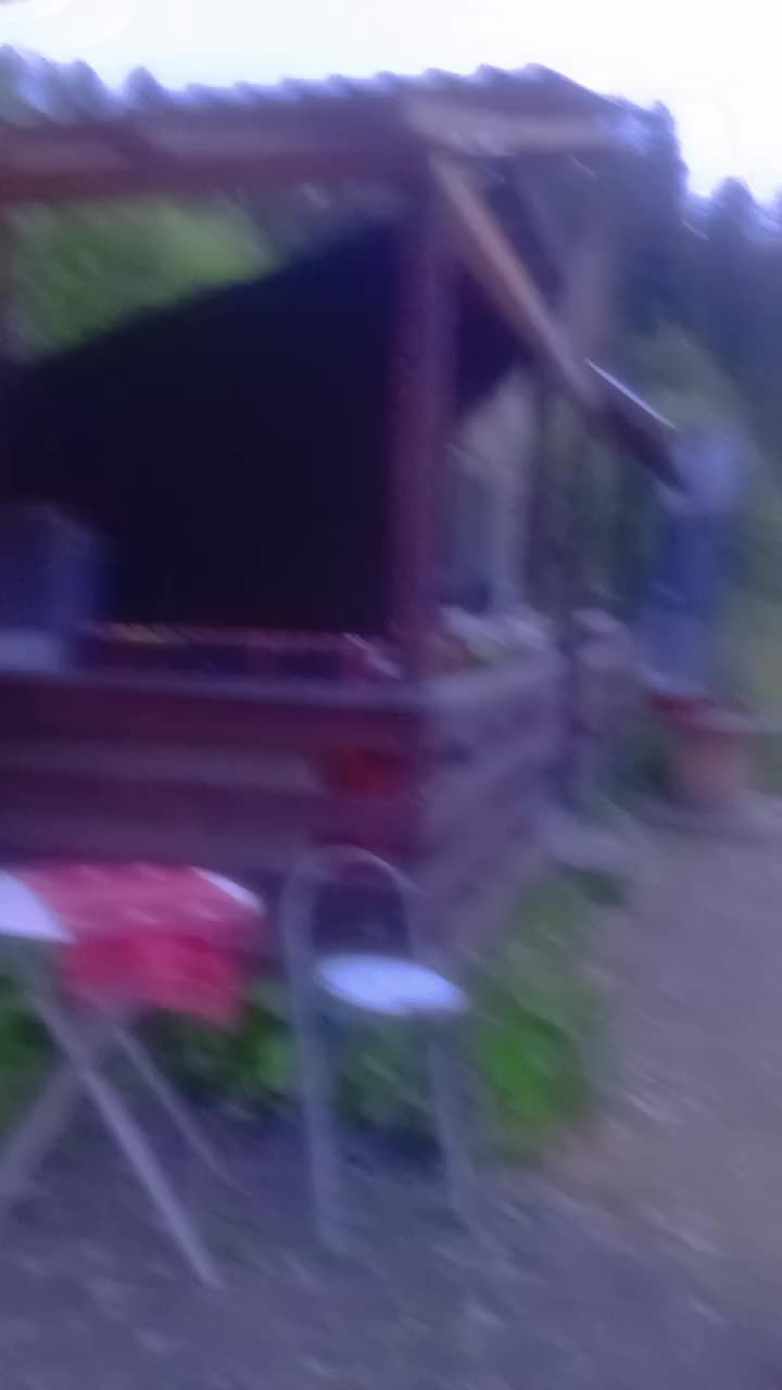 @Maria Spinciu