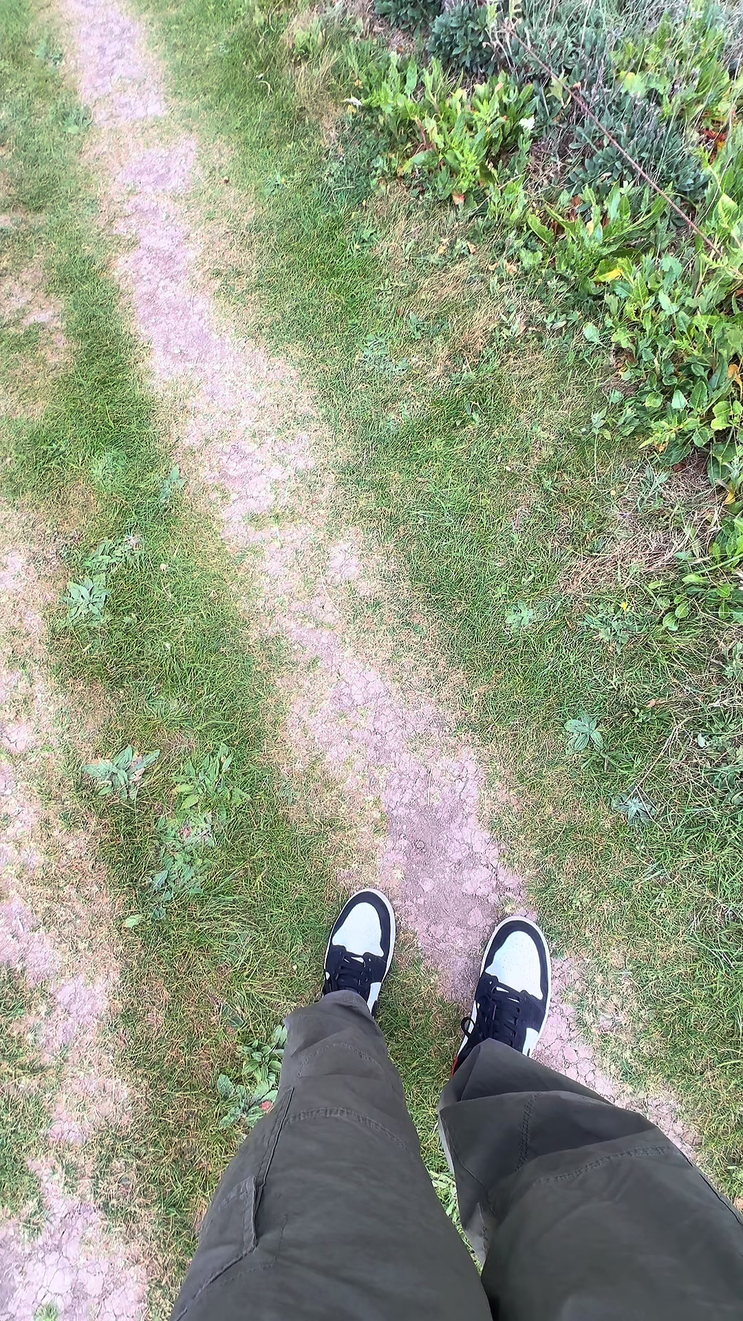 @🕷️