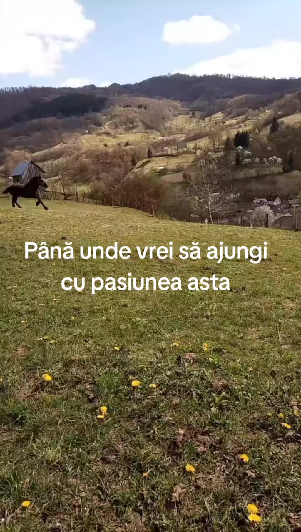 @Ilie Vasies