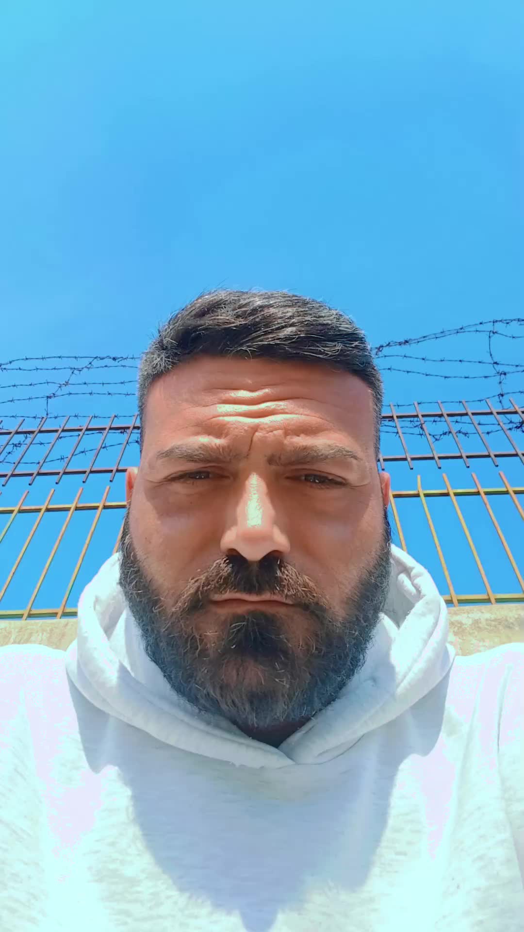 @Vincenzo Russo