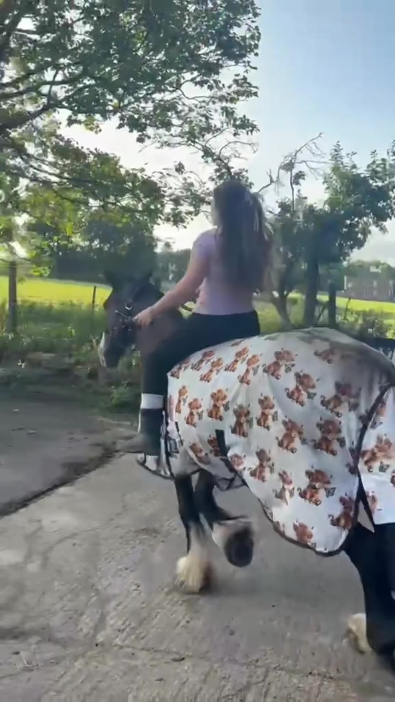 @âïžđđ đđȘđđ¶đČđ·đźđ đâïž