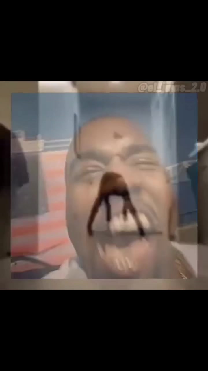 @elijaubve7b