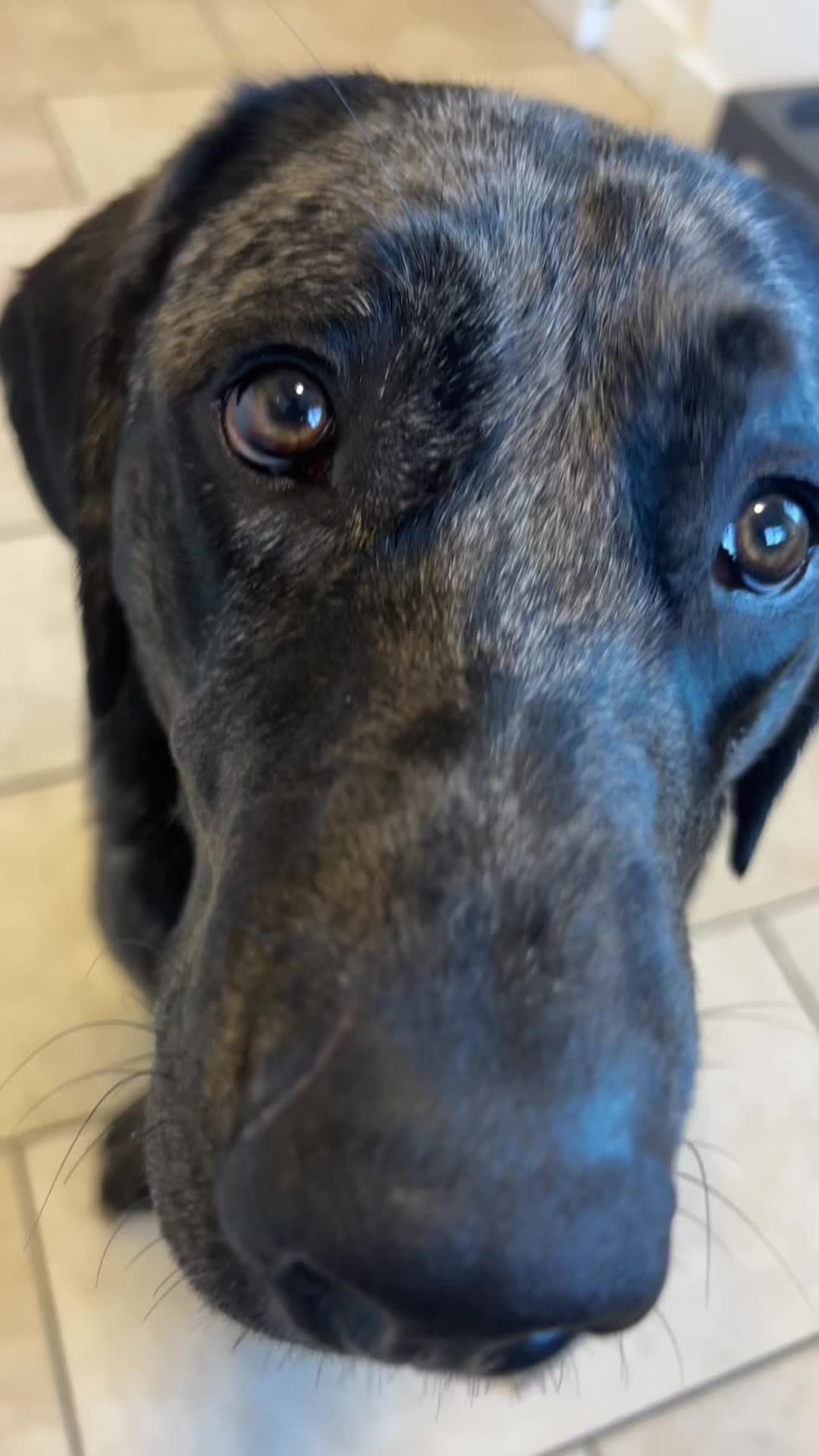 @Leotheleopardlab