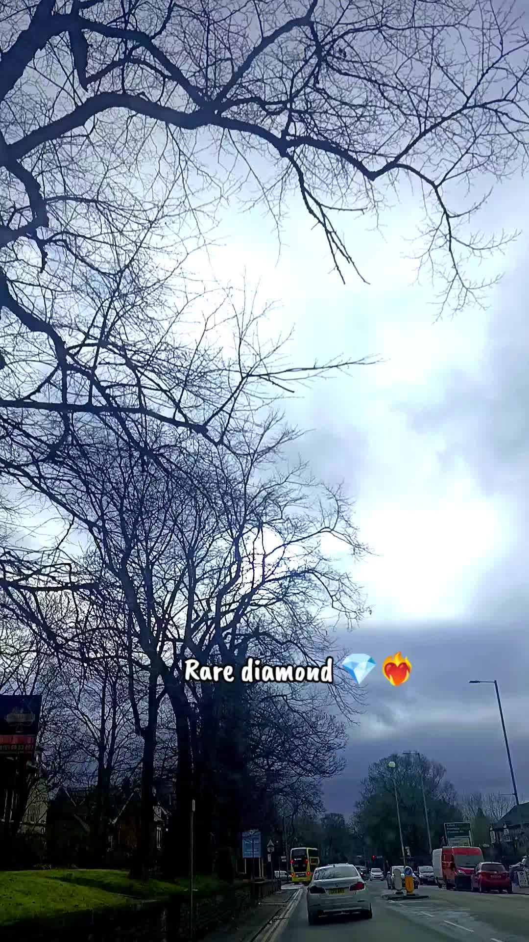 @Rare Diamond™ 🇬🇧🇵🇸