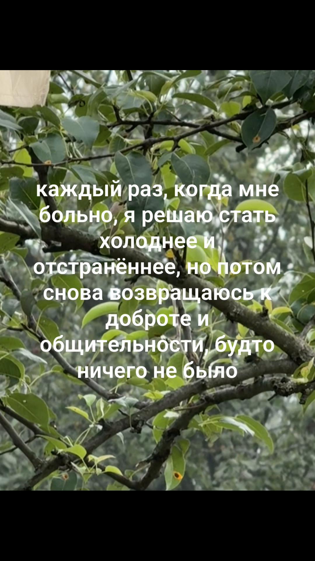 @kris.tina572
