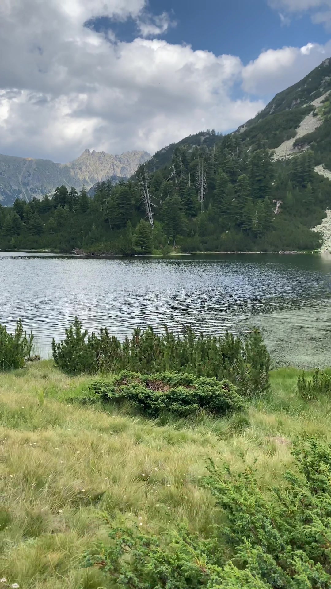 @Pirin