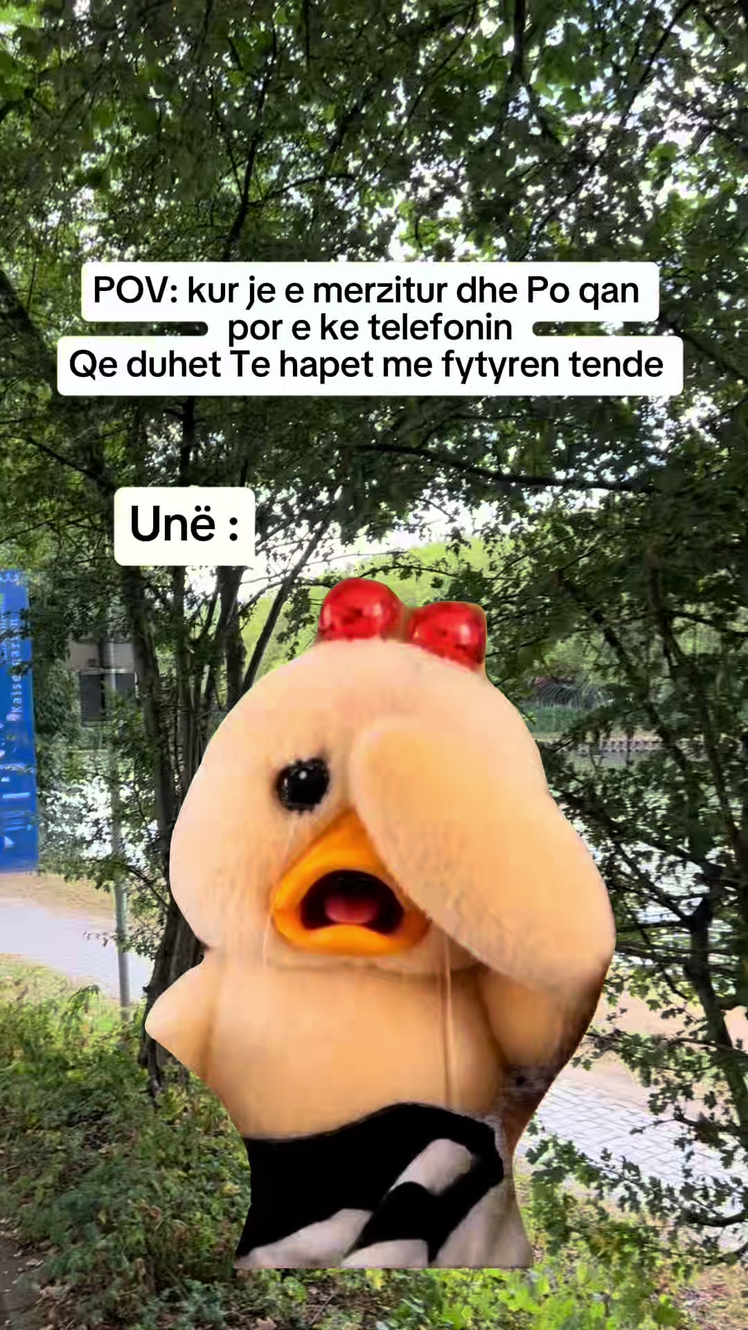 @Enisa Eni