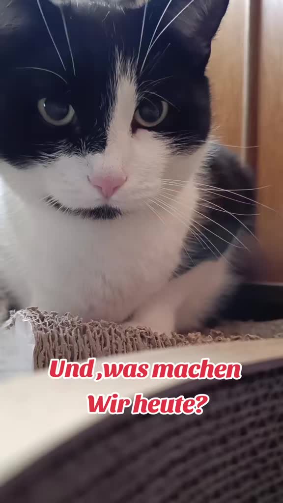 @✌️😻𝕱𝖚𝖓𝖟𝖓