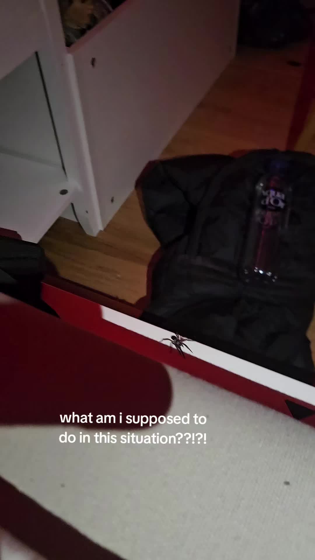 @Maya