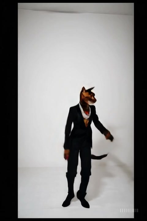@gang_cat