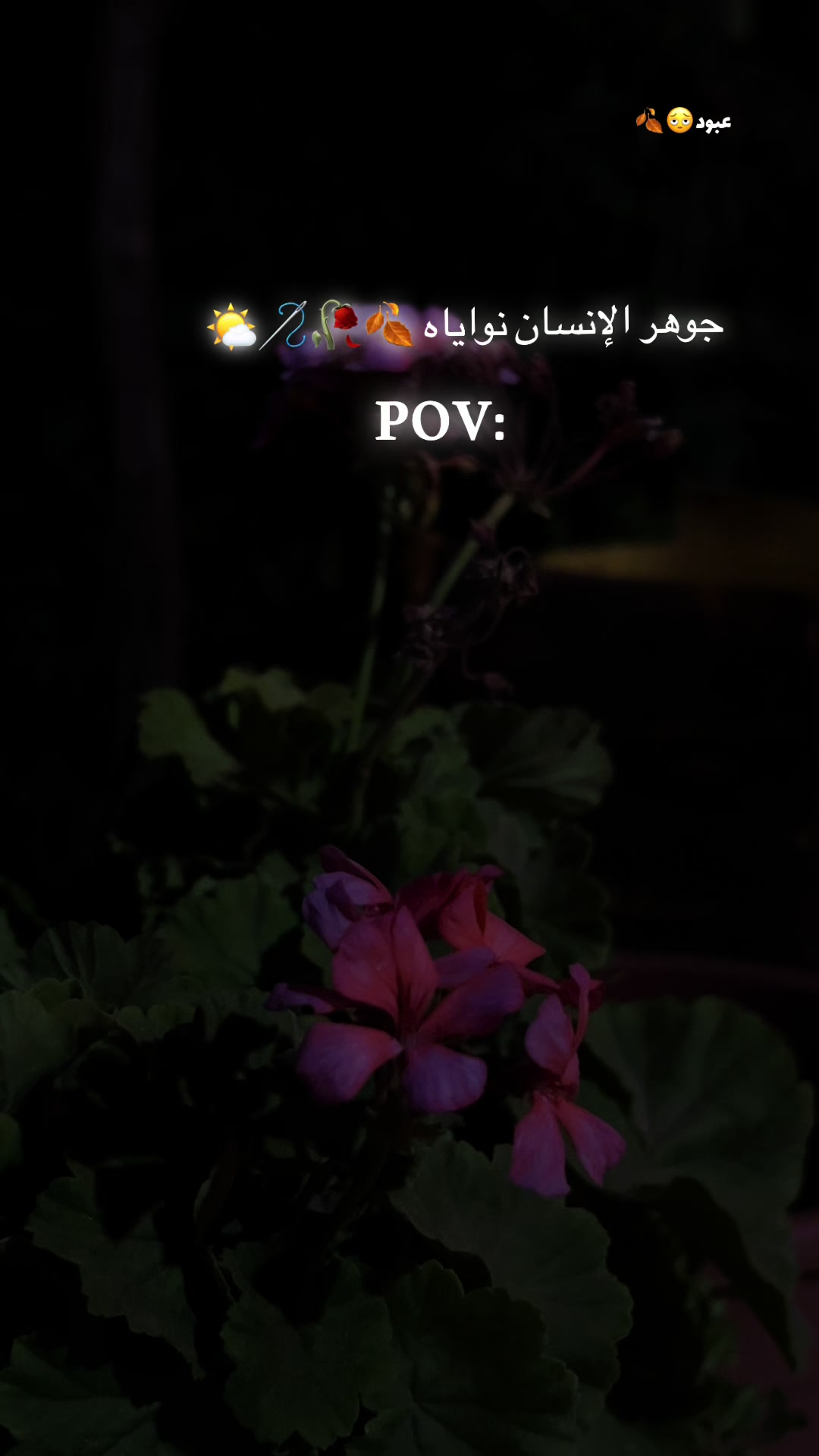 @𓃠𓆩عبود🍂🥀𓆪𓃠