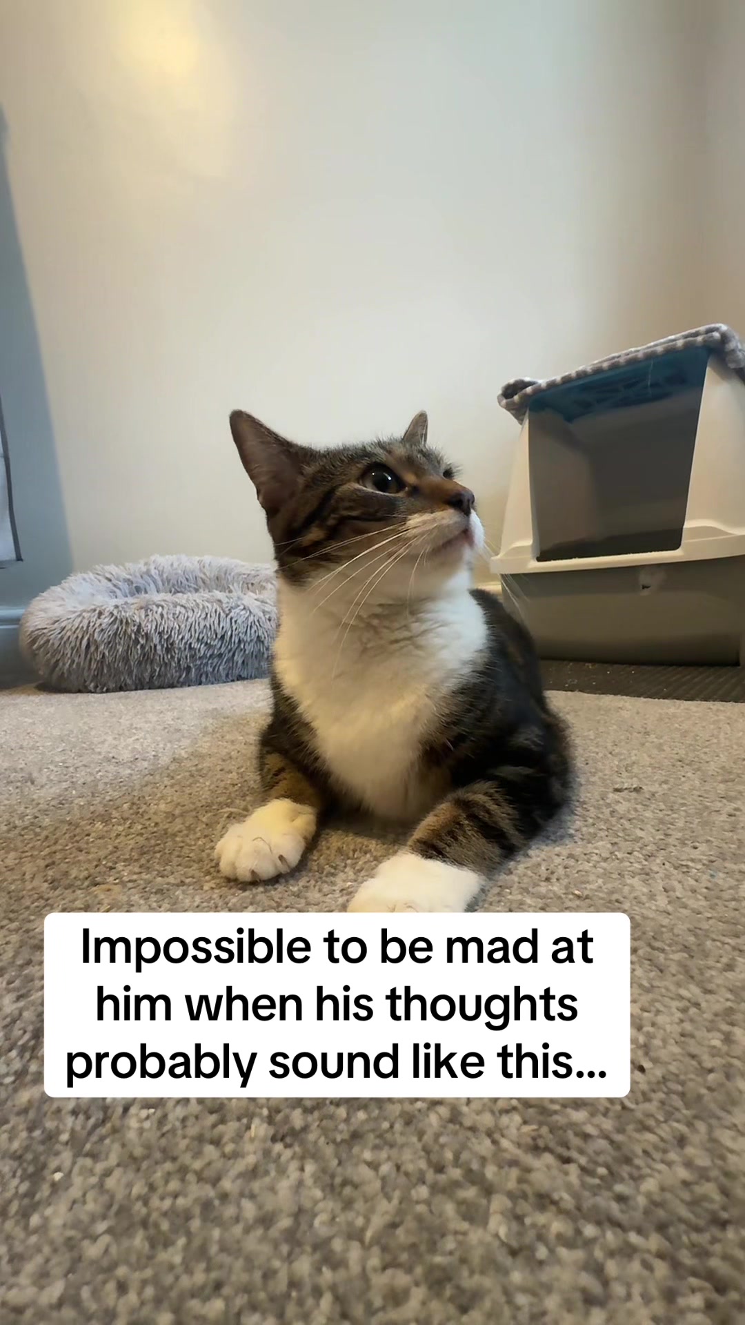 @Rogue in the Hole