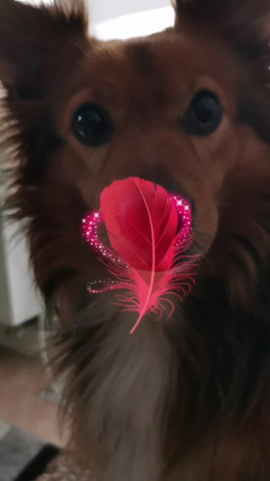 @antje&pupi