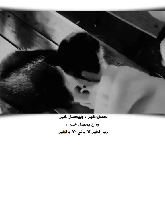 @⍣🦋ريـᬼـمـاᬼَّس