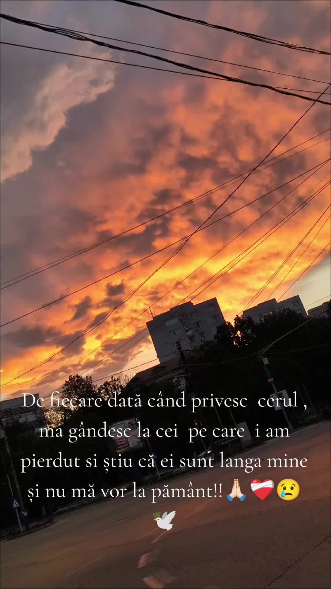 @Loredana Stoiculescu ♥️