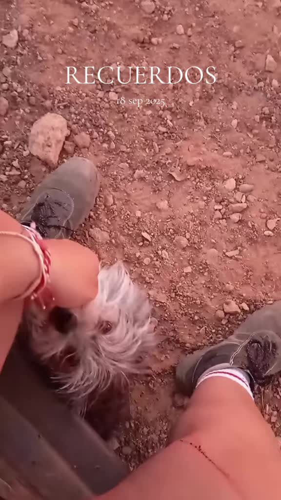 @Paula Ruiz Rabelo