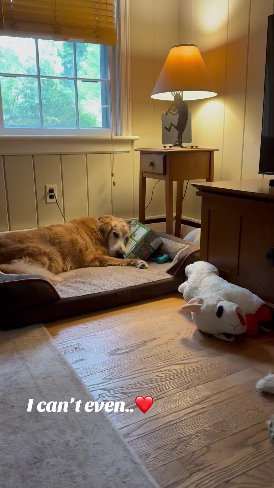 @lifewithduke2025
