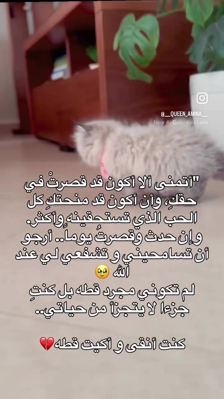 @queenamiina1