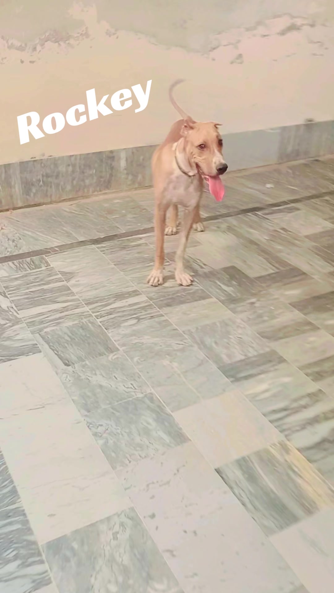 @Rana Numan Naru (Baba G)