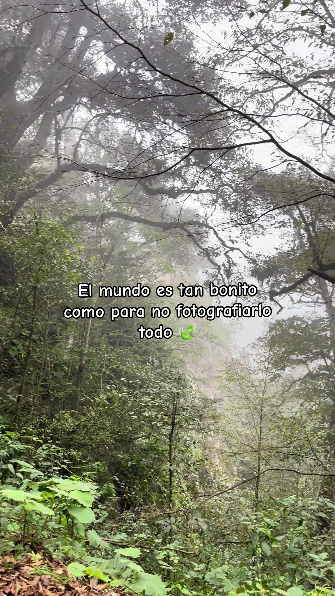 @Mónica Morales 🦋