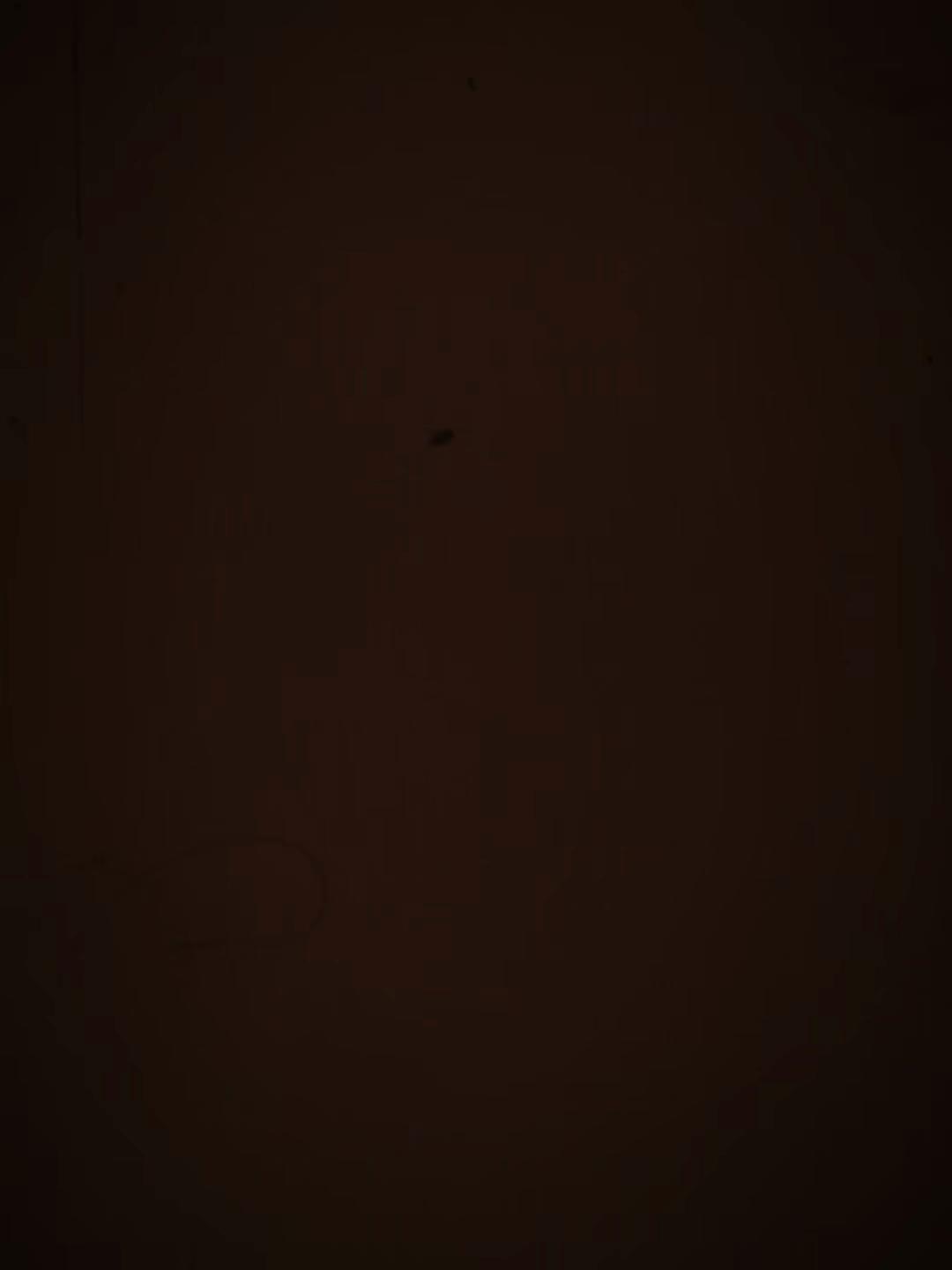 @itzalvi_85