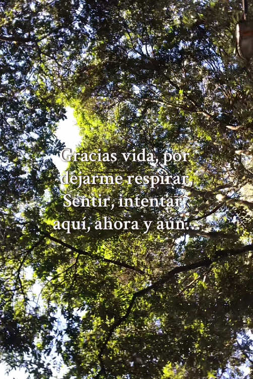 @cocoo_rem