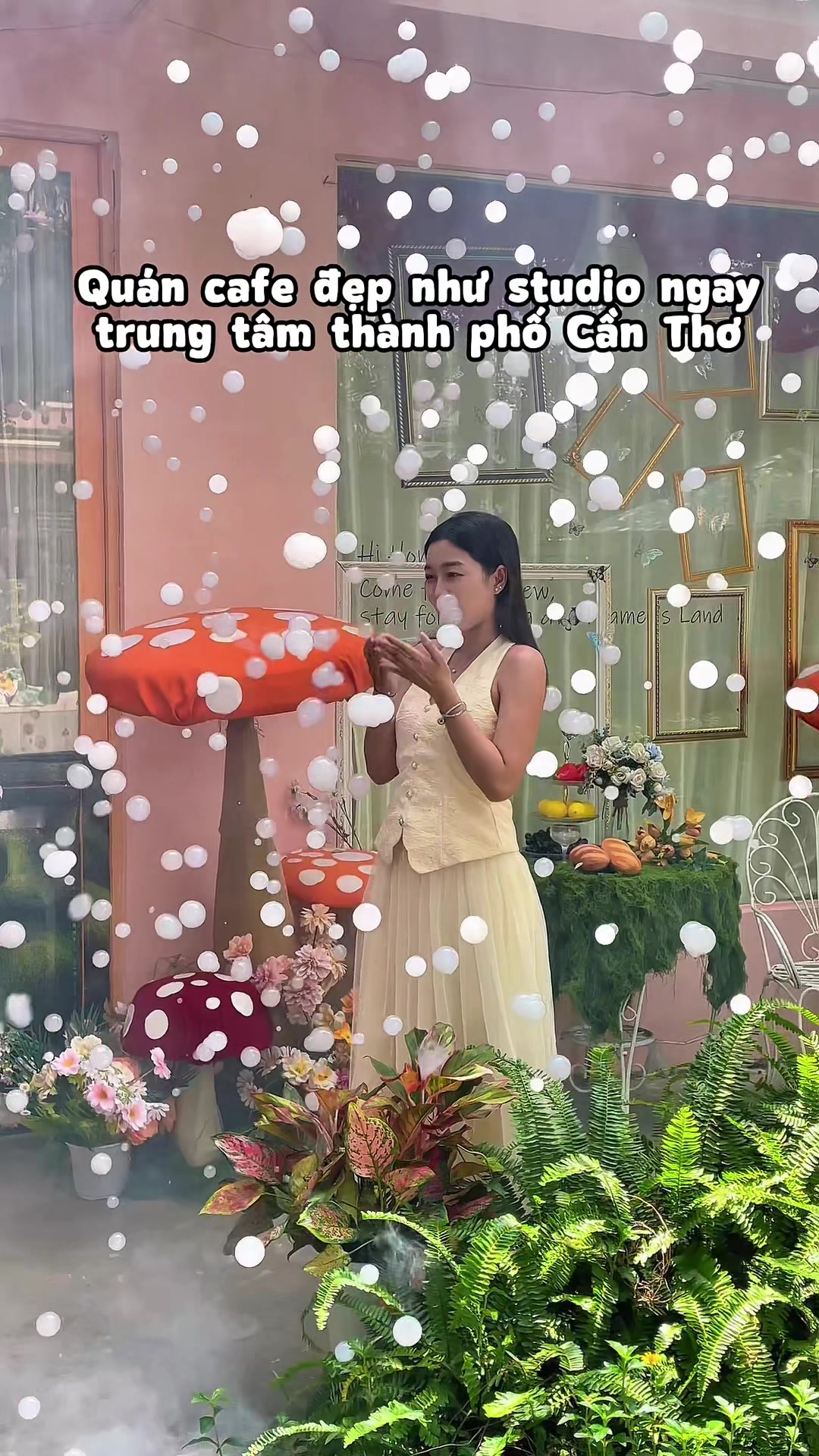 @Tiệm trà Dreamer’s Land