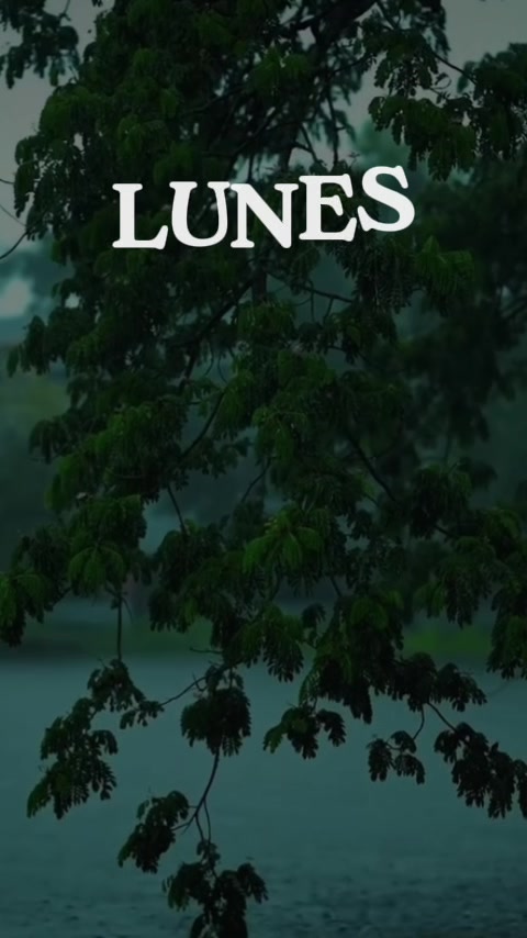@Liliana Merino