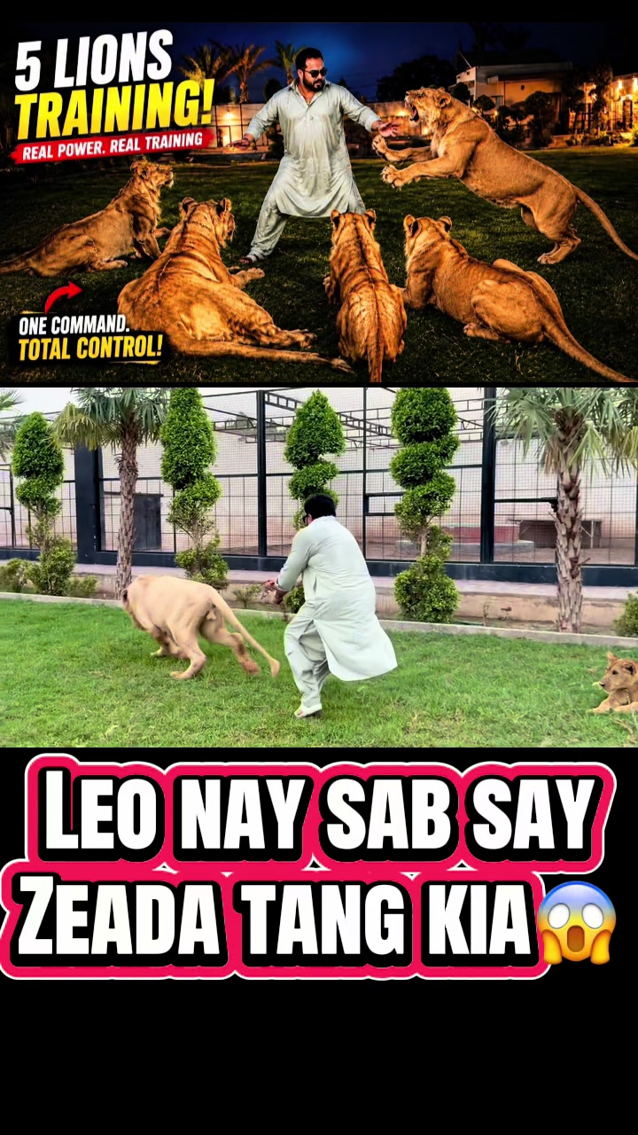 @Mian saqib