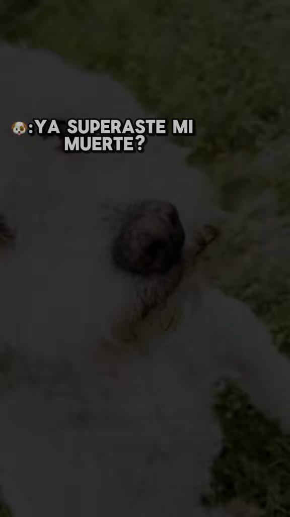 @MaricelaAvalosTovar