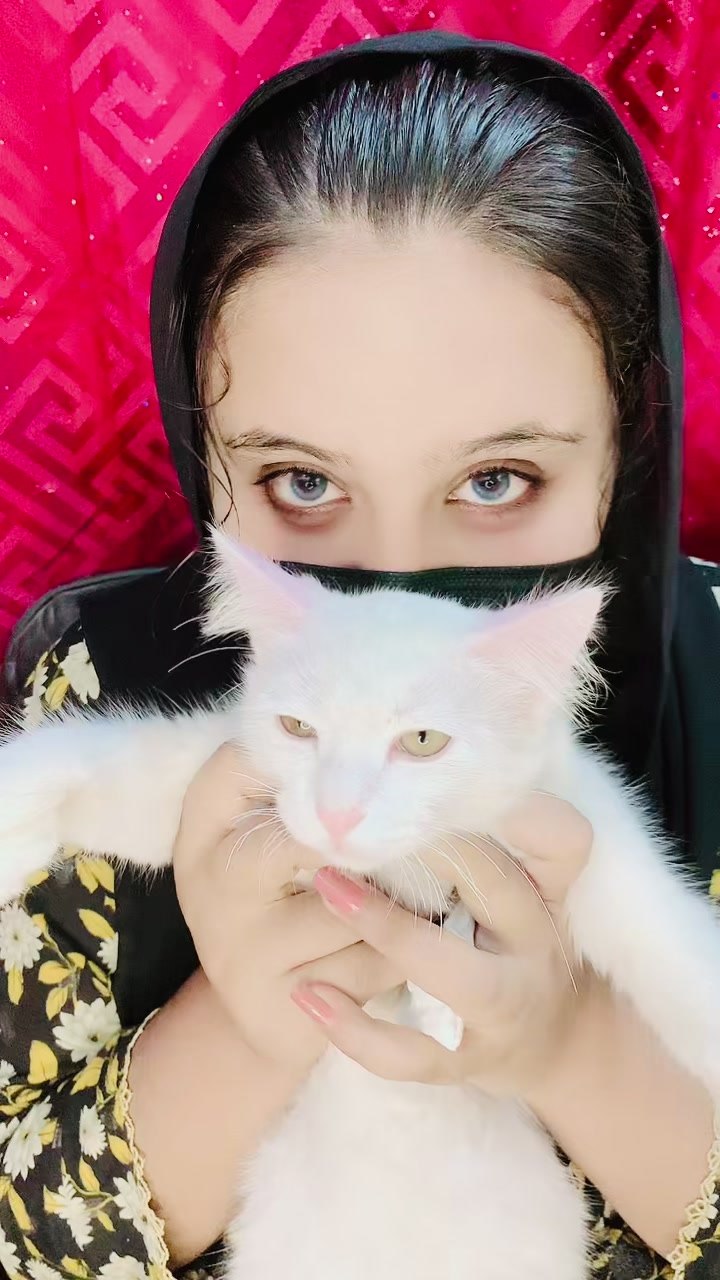 @⚜️فاطمہ عباسی فحرے مری⚜️