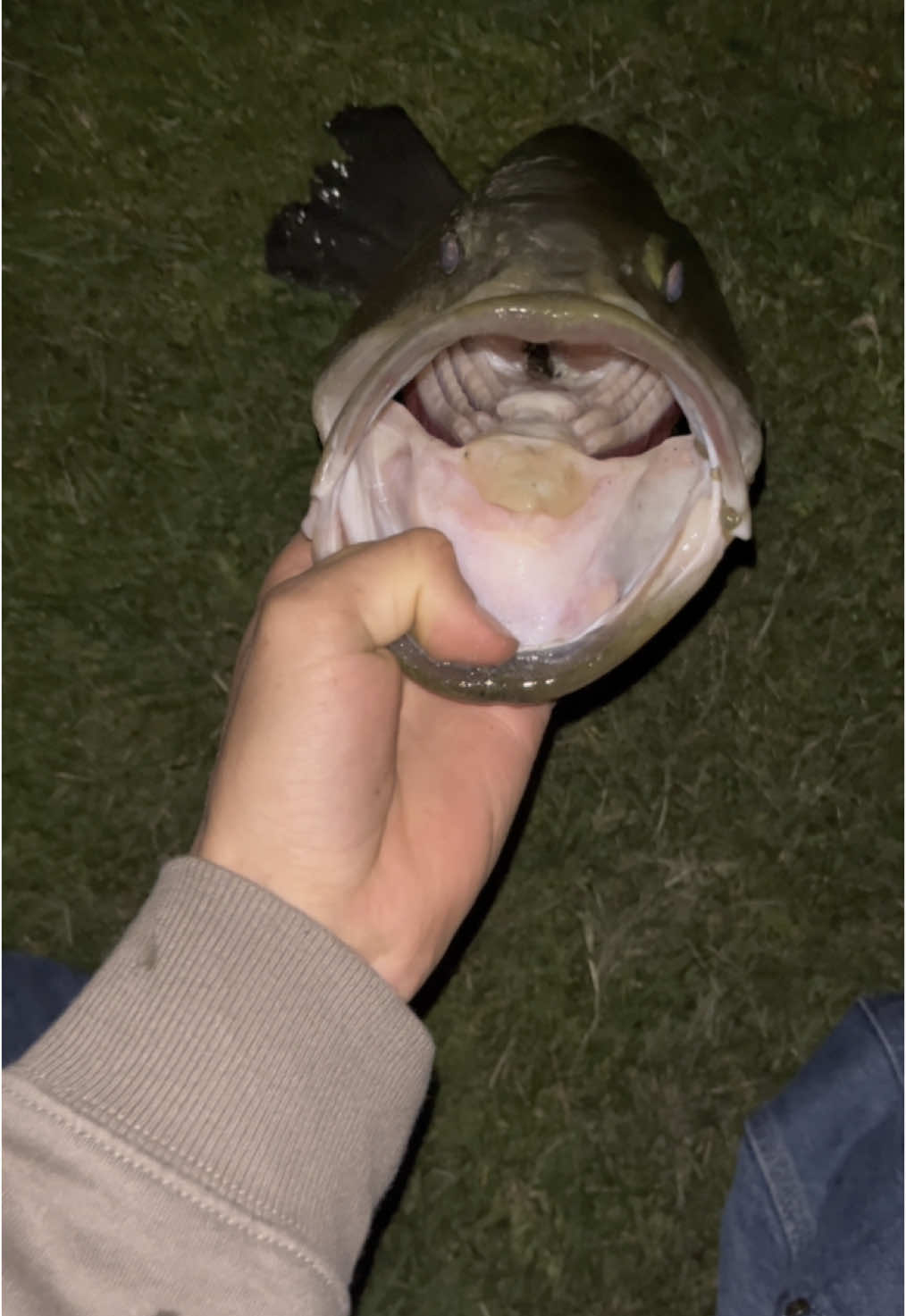 @FishingWithCam