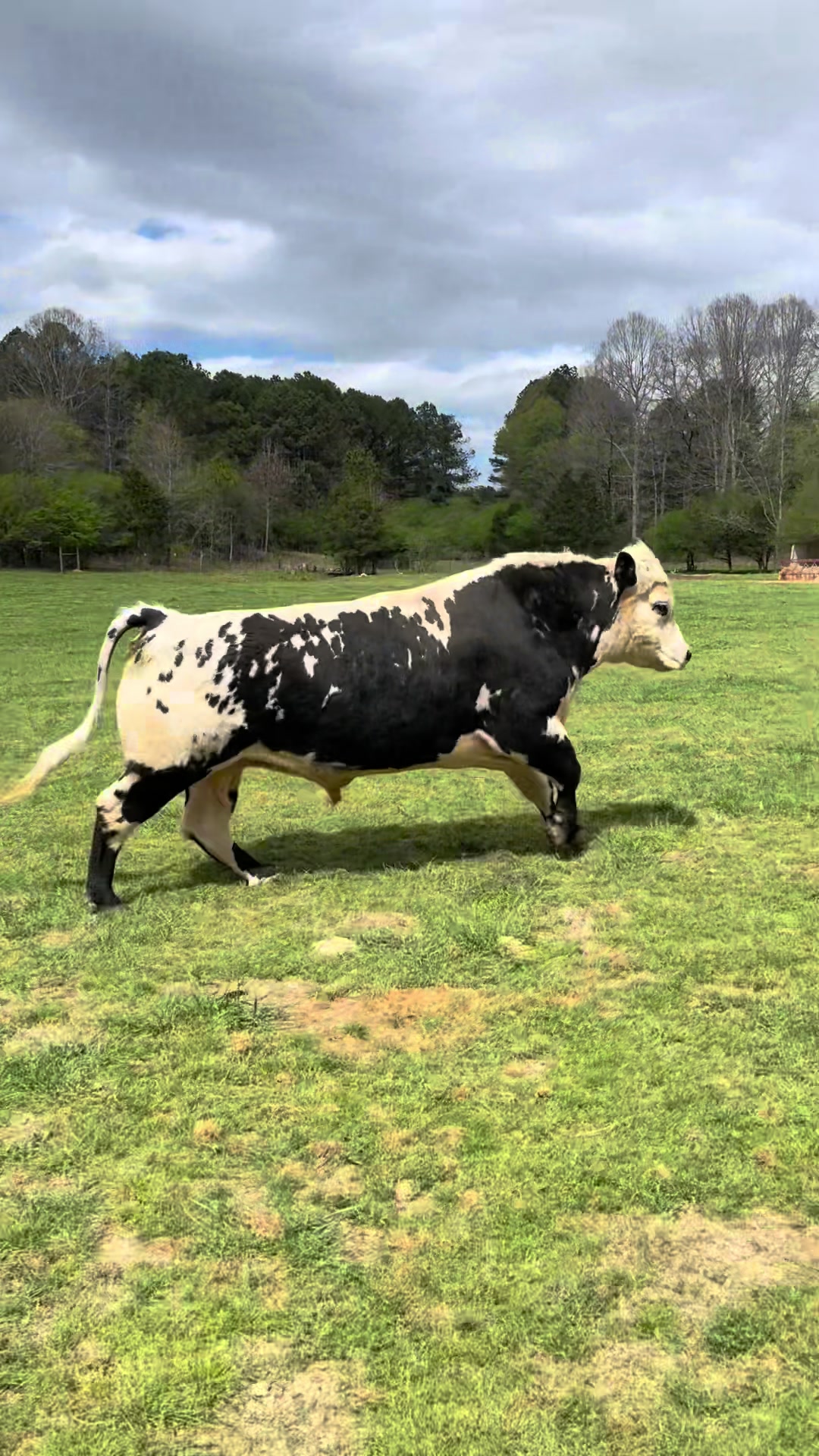 @Georgia Farm Girl