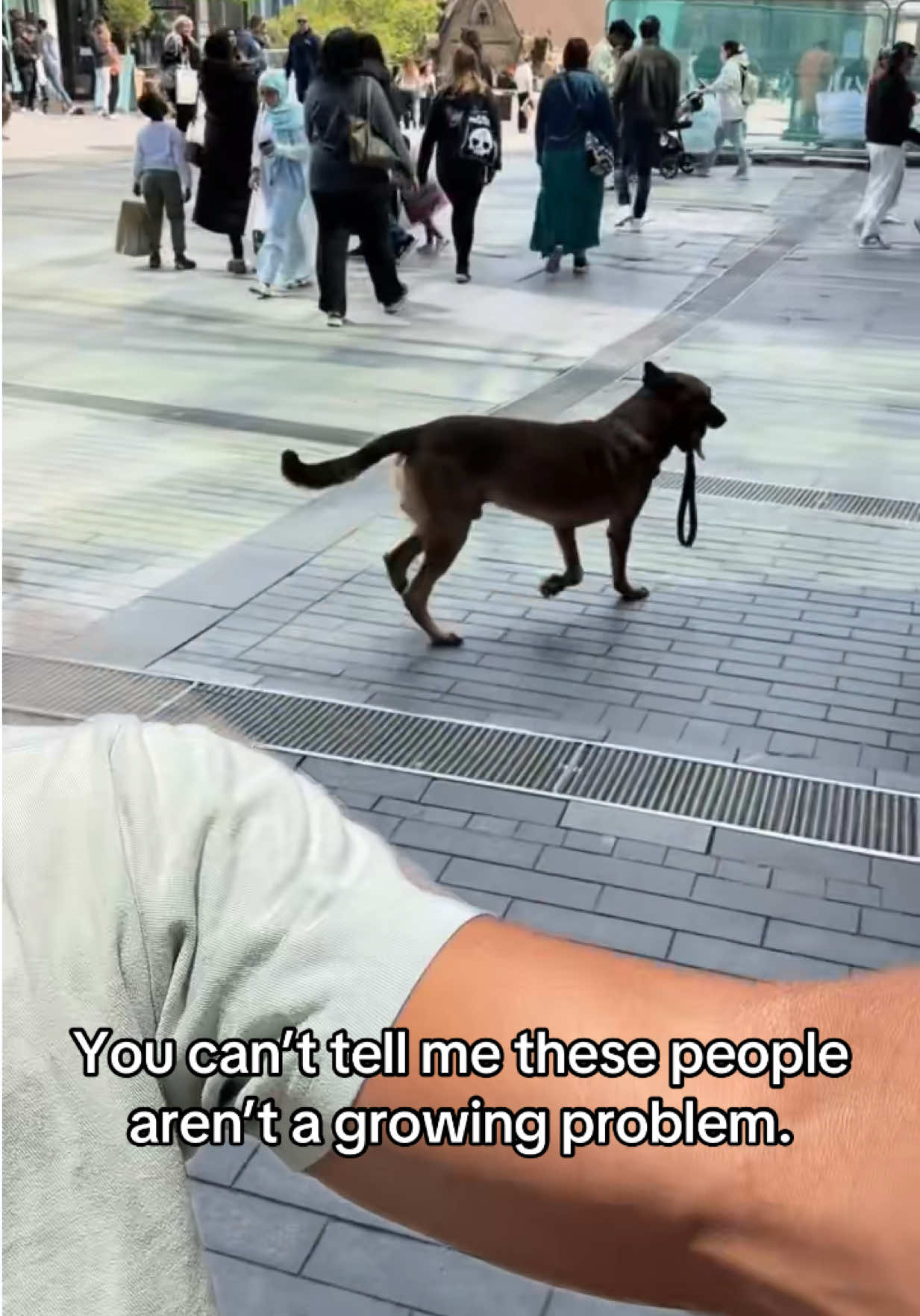 @Dogs aren&rsquo;t Family