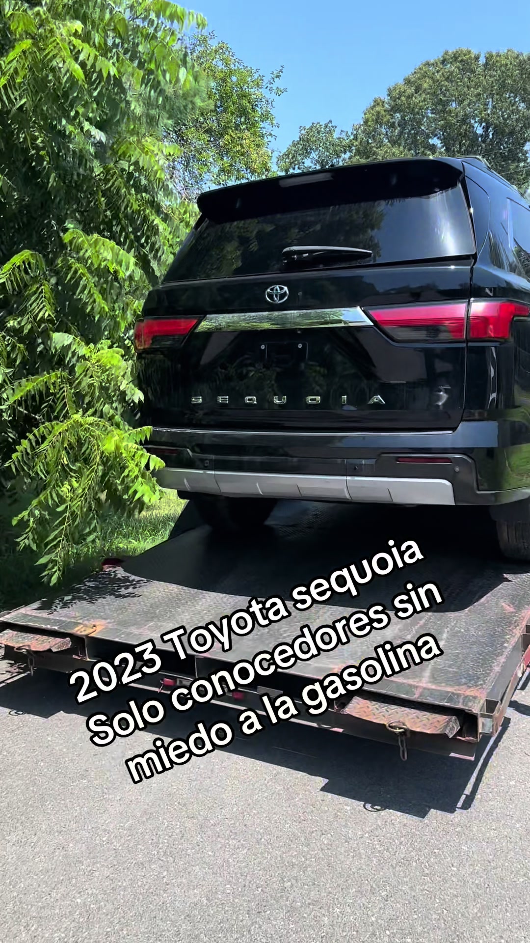 @Ángel